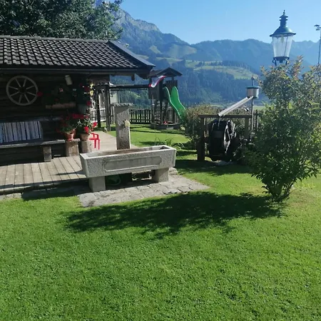 Scheiber * 莱奥冈