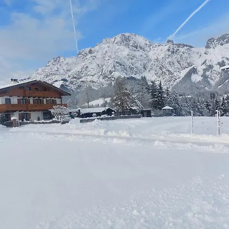Apartament Scheiber