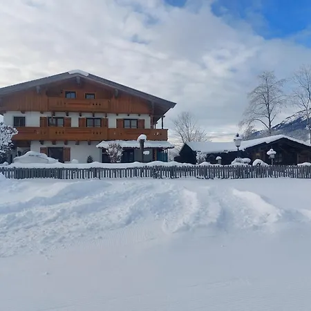 Apartament Scheiber